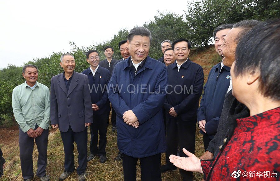 光山油茶籽榨油設(shè)備，山茶籽油榨油機廠家(圖2)