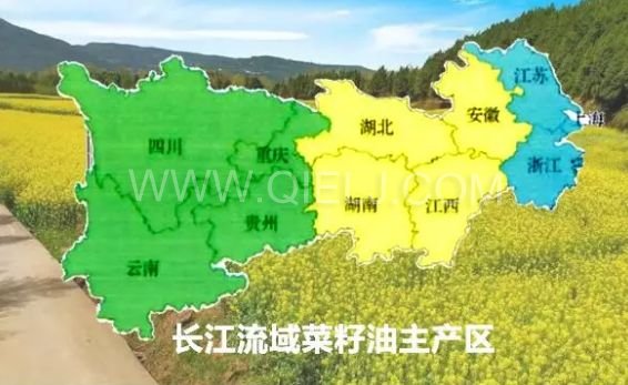 濃香菜籽油成套設(shè)備，企鵝糧油機械品質(zhì)出眾(圖1)