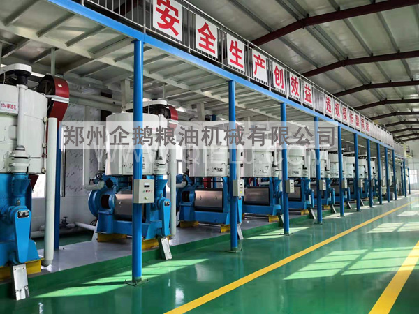 油脂精煉成套設(shè)備，企鵝糧油機(jī)械 品質(zhì)優(yōu)良+技術(shù)成熟(圖1)