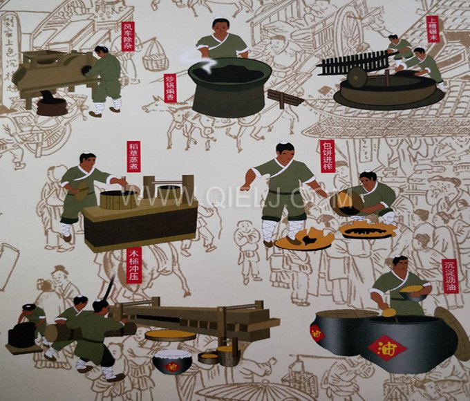 芝麻油提取加工，企鵝糧油機(jī)械生產(chǎn)色香味俱佳的油脂(圖2)